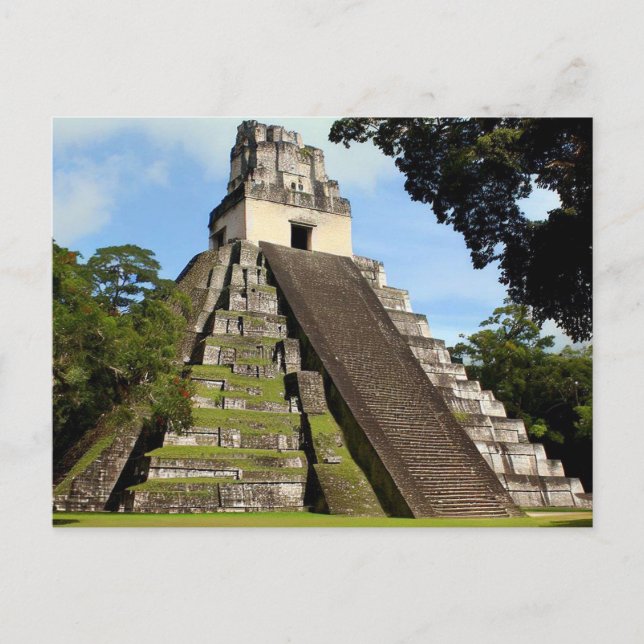Tikal Guatemala Maya Temple Vykort (Framsida)
