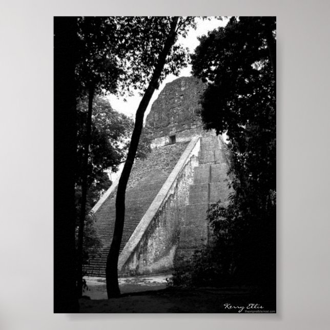 Tikal Poster (Framsidan)