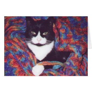 "Tiki in Doug's Afghan" OBS Kort