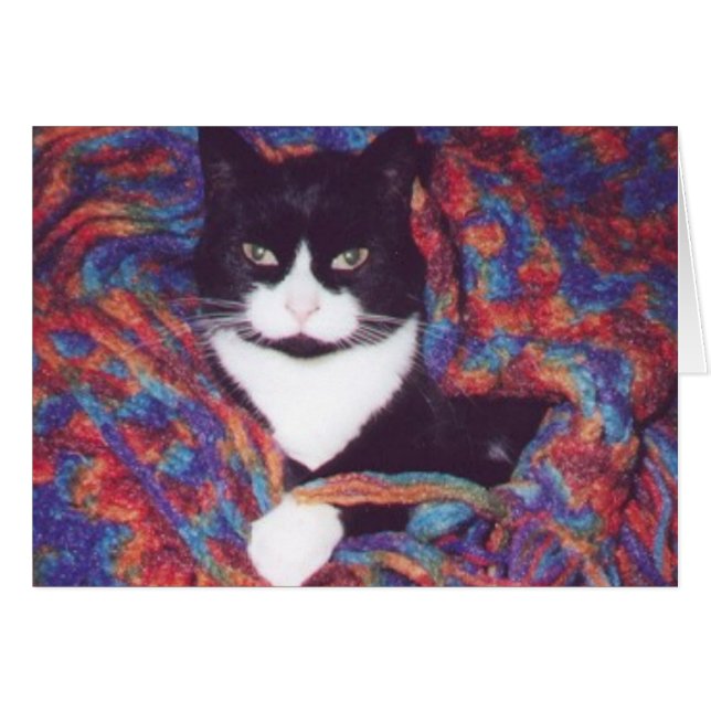 "Tiki in Doug's Afghan" OBS Kort (Framsidan Horizontal)
