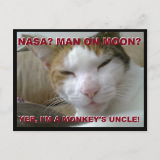 Tiki Monkey Postcard - FLat Earth Meme Vykort
