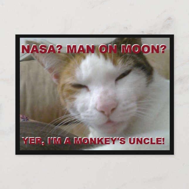 Tiki Monkey Postcard - FLat Earth Meme Vykort (Framsida)