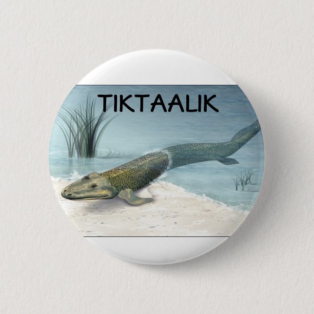 Tiktaalik Knapp (Framsida)