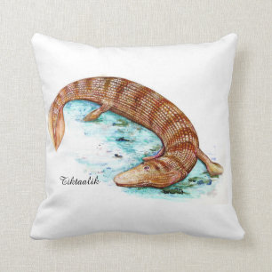 Tiktaalik Kudde