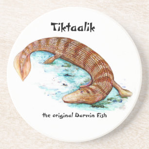 Tiktaalik kustfartyg underlägg sandsten