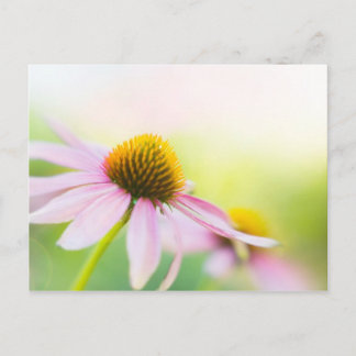 Til Sunbeams Hitta dig Vykort