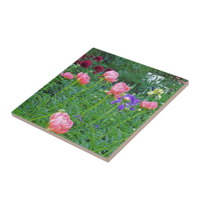 TIL/TRIVET, "WHITE BENCH IN PEONY GARDEN" KAKELPLATTA (Sidan)