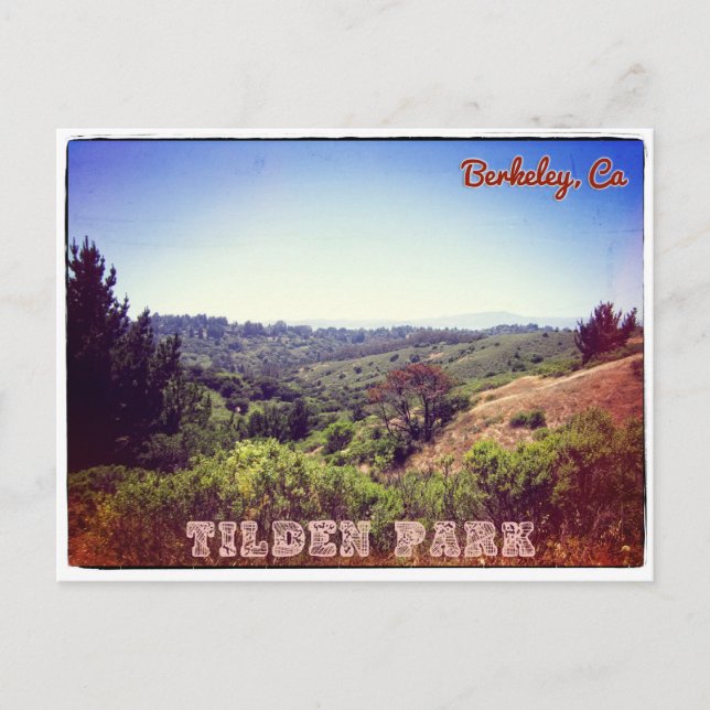 Tilden Park/ Berkeley-vykort Vykort (Framsida)