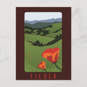 Tilden Regional Park-vykort Vykort