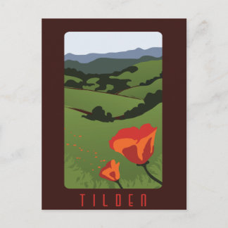 Tilden Regional Park-vykort Vykort