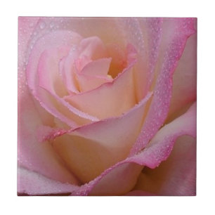 Tile Bevackra Rosa ros Kakelplatta