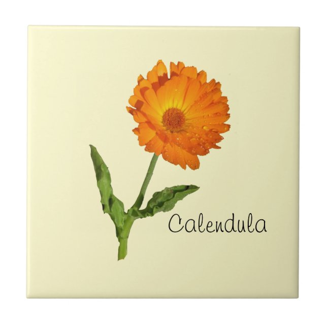 Tile - Calendula Kakelplatta (Framsidan)