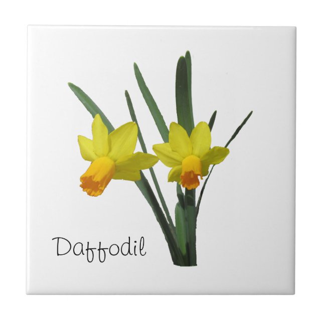 Tile - Daffodil Kakelplatta (Framsidan)