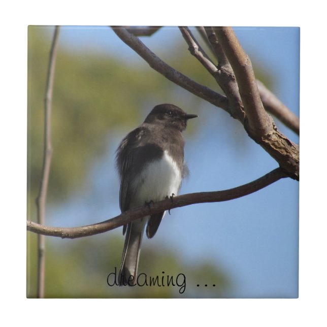Tile - Flycatcher Kakelplatta (Framsidan)