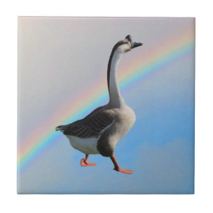 Tile - Goose and Rainbow Kakelplatta