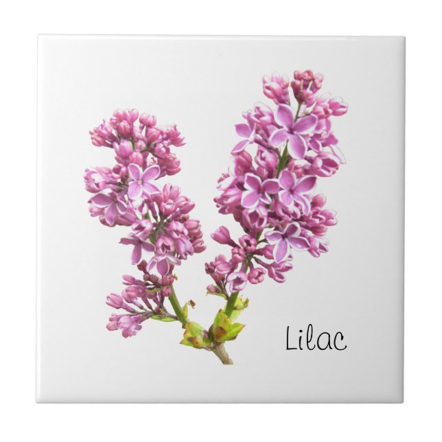 Tile - Lilac-Blommar Kakelplatta (Framsidan)