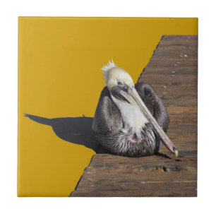 Tile - Pelican på ombord Kakelplatta