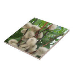 Tile (PussyWillowsInLeaves) RFPMDesigns ©️ 2012 Kakelplatta