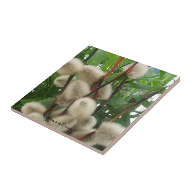 Tile (PussyWillowsInLeaves) RFPMDesigns ©️ 2012 Kakelplatta (Sidan)