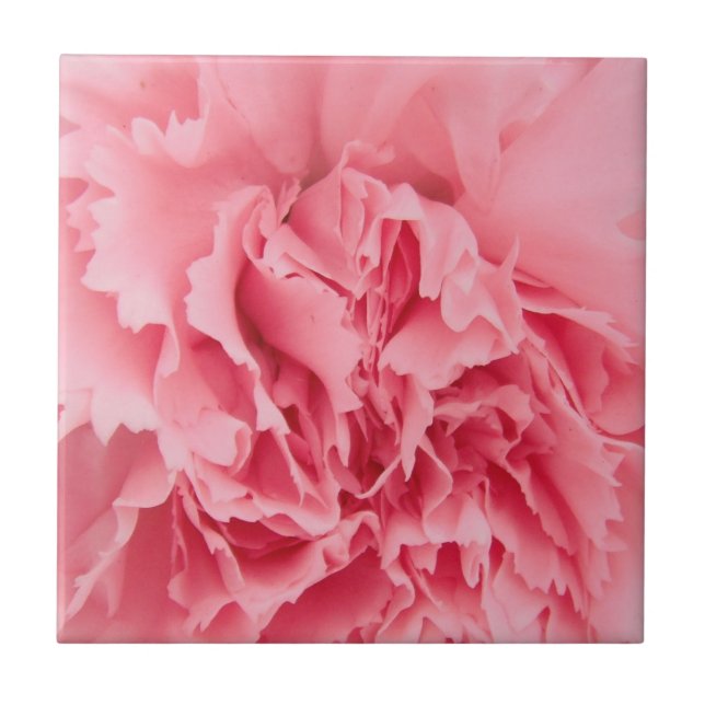 Tile Rosa Carnation Close Kakelplatta (Framsidan)