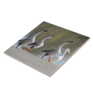 Tile - Stroll Geese Kakelplatta