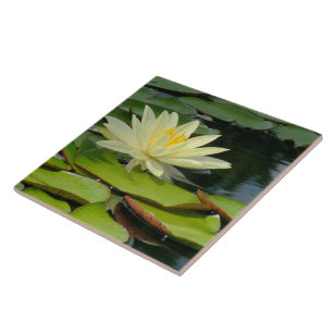 Tile/Trivet Gult Lotus Blommar (Photog) Kakelplatta