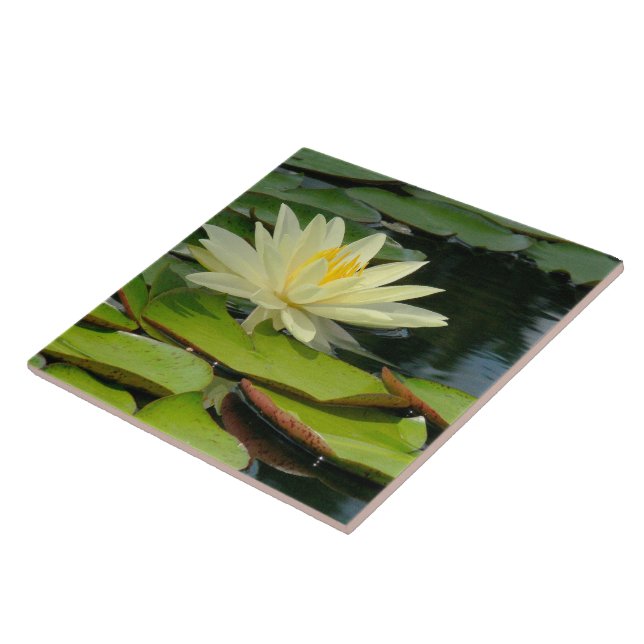 Tile/Trivet Gult Lotus Blommar (Photog) Kakelplatta (Sidan)
