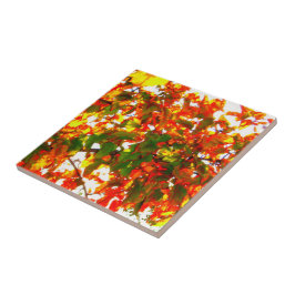 Tile/Trivet Kakelplatta
