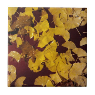 Tile/Trivet med Fall bild i gult löv Kakelplatta