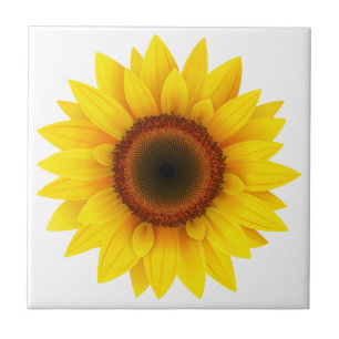 Tile Trivet-Solros Kakelplatta