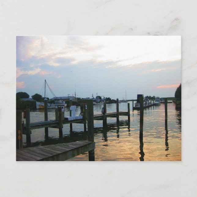 Tilghman Island, MD Vykort (Framsida)