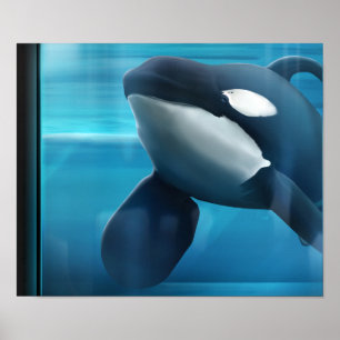 Tilikum porträtt poster