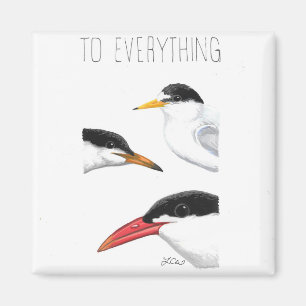 Till allt Tern, Tern, Tern Magnet