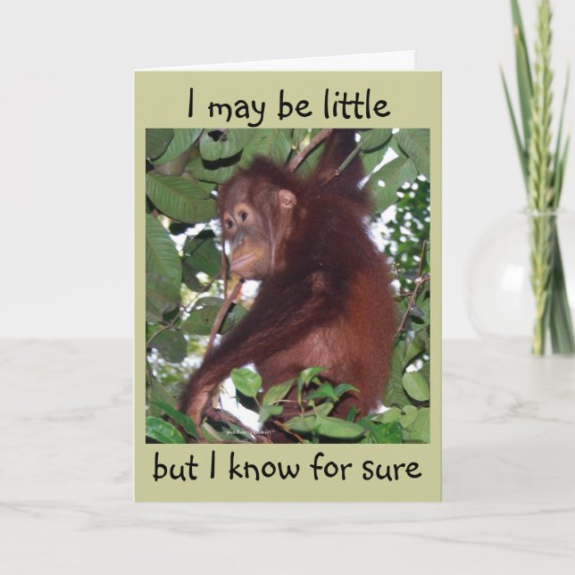 Till den bästa pappan på fars dag kort (Framsida)