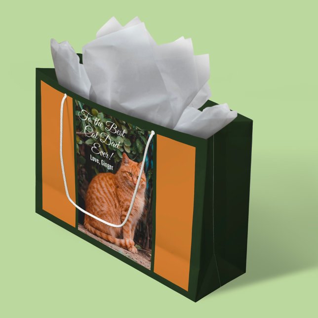 Till det bästa foto av Anpassningsbarna Pappa någo (Skapare uppladdad)