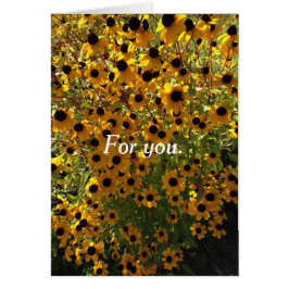 Till dig Black Eyed Susan Flowers Greeting Cards Hälsningskort