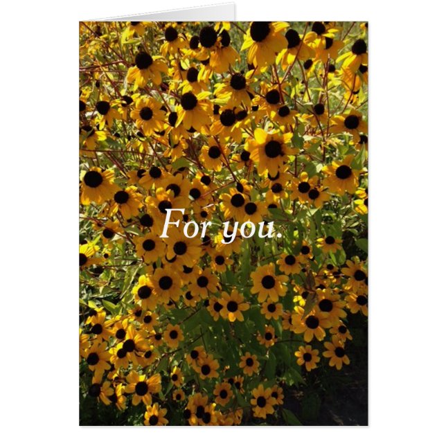 Till dig Black Eyed Susan Flowers Greeting Cards Hälsningskort (Framsidan)