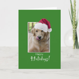 Till Dog Walker vid jul, Golden Retriever i Sa Helgkort