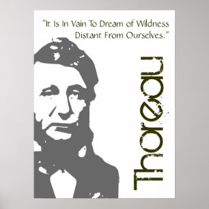 Till drömmen om Wilness Thoreau Poster