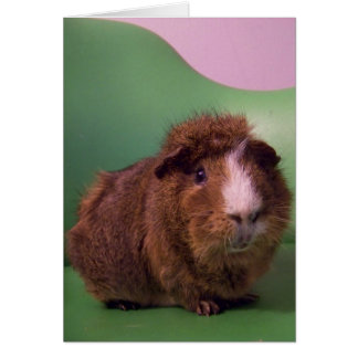 Till en framstående gentleman hälsningskort