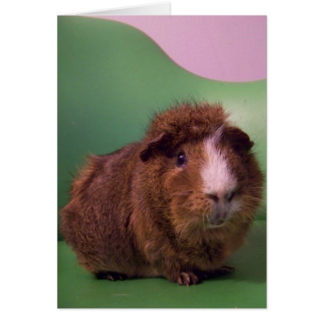 Till en framstående gentleman hälsningskort (Framsidan)