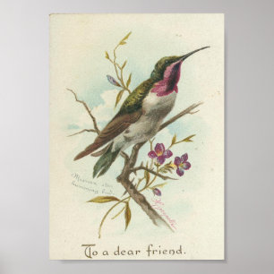 Till en kär vän vintageHummingbird Poster