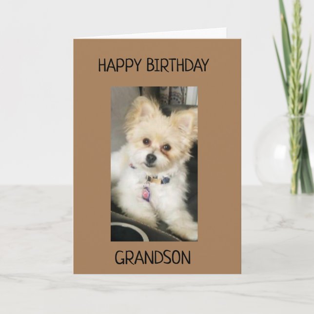 TILL GRANDSON PÅ DIN BIRTHDAY! KORT (Framsida)