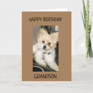 TILL GRANDSON PÅ DIN BIRTHDAY! KORT