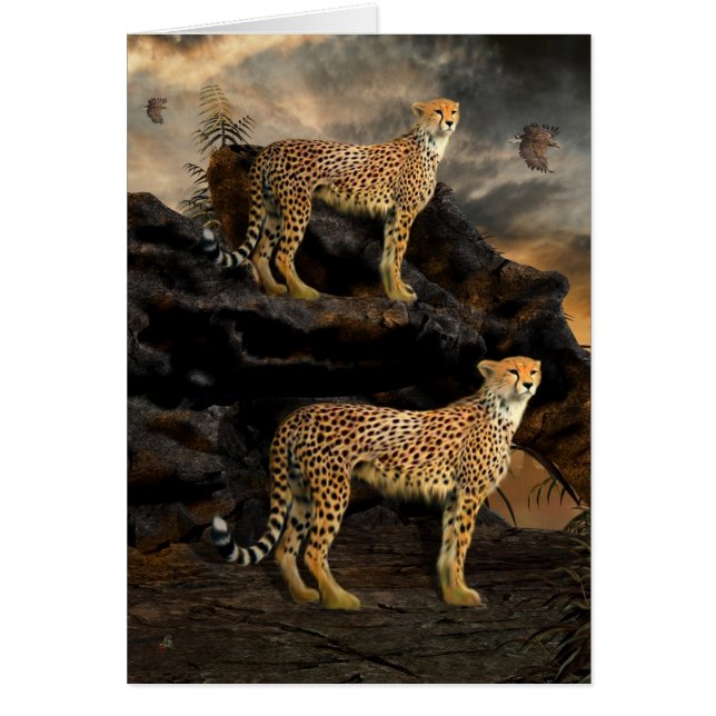 Till Hunt i par - Cheetahs Hälsningskort (Framsidan)