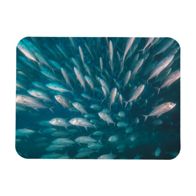 Till Jackarna Magnet (Horisontell)