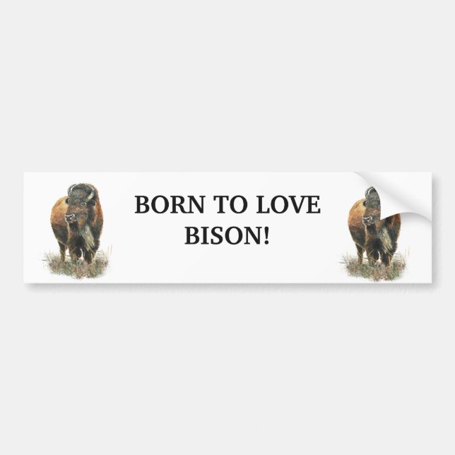 TILL KÄRLEK BISON BUFFALO ANIMAL QUOTE ART BILDEKAL (Framsidan)