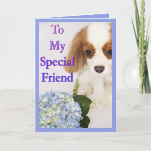 Till min speciella vän Cavalier King Charles Spani Kort