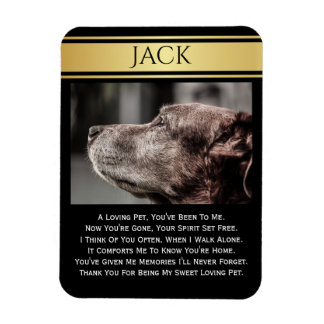Till minne av en Borttappad Pet Magnet