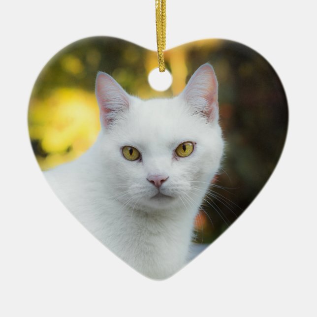 Till minne av retoriskt regnbåge hos sällskapsdjur julgransprydnad keramik (Framsidan)